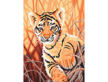 ��-217. �������� � ��������.jpg