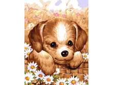 ��-233. ��������� ������.jpg