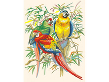 ��-245. ����������� �������.jpg