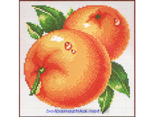 RY-737. ���������.jpg