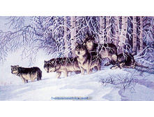 RY-1011. ����.jpg