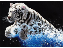 RY-1253. ����� ����.jpg