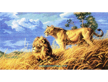 RY-1565. ���� �������.jpg