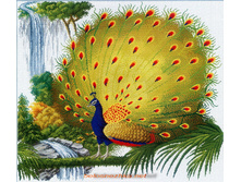 RY-1587. �������������� ������.jpg