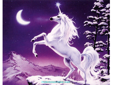 RY-1658. ��������.jpg