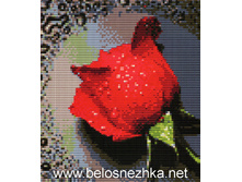 RY-1030. ������� �����.jpg