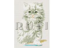 RY-2120. ����� �����.jpg