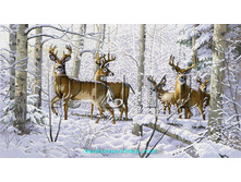 RY-2223. ������ ���.jpg