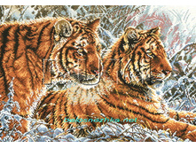 RY-2333. ����� �� �����.jpg