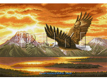 RY-2347. �������� ��������.jpg