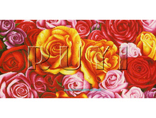 RY-2400. ����� ���.jpg