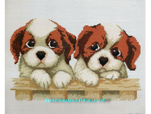 RY-F515. ������.jpg