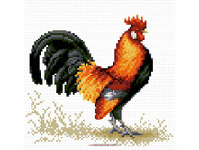 �-808. ������� ��������.jpg