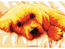 �-812. ��������� ����.jpg