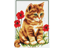 �-855. ������� � ������.jpg