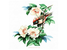 �-1165. � ������ ��������.jpg