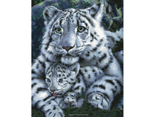 �-2447. ������ �������.jpg