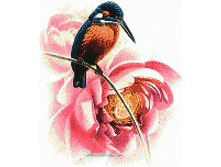 �-1164. �������.jpg