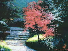 �-4035. �������� ����.jpg