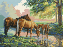 �-4162. ������� �� �������.jpg