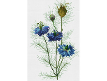 �-6001. ������� �������.jpg