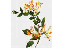 �-6002. ����������� �������.jpg