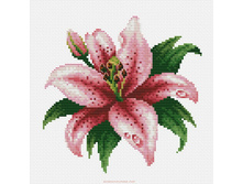 �-6003. ������� �����.jpg