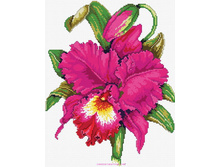 �-6005. ������� ����.jpg