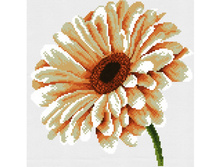 �-6007. ����� �������.jpg