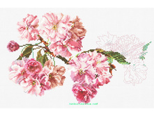 �-6009. �������� ��������.jpg