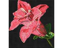 �-6011.��������� ������.jpg