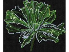 �-6010. �������� ������.jpg