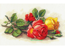 �-6036. ���������.jpg