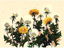 �-6045. ������� ����������.jpg