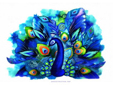 8030-16. ����� ������.jpg