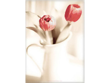 7016-3d. �����������.jpg