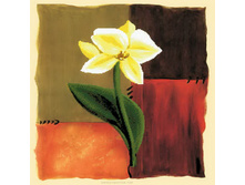 7031-3d. ������ �������.jpg