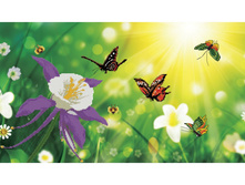 7052-3d. � ��������� �����.jpg