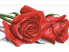 7530-��. ������� ����.jpg