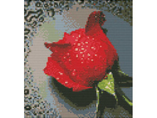 7505-��. ������� �����.jpg