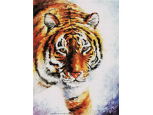 ST-156. ���� �� �����.jpg