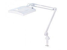 809 L. ������������ ����� � ������ �� ���������. ������ ����� - 19�15,7 ��.jpg