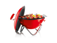 53fce0e844dbb_fyrkatpicknickgrillrot1.jpg