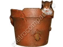 240���. 11194  ����� ����� � �������� ����� ������ (���������) 18�15��.png