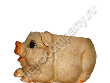 320���. 11215  ����� ������ ��������� ���� ���� (���������) 13�25��.png