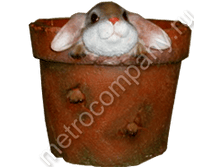 280���. 11208  ����� ������ � �������� ����� ������ (���������) 15�17��.png