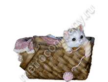 530���. 11280  ����� ������� � �������� (���������) 21�27��.png