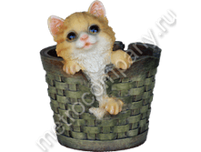 280���. 11279  ����� �������� � �������� (���������) 18�20��.png