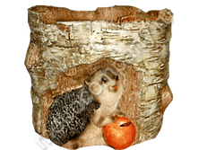 295���. 11254  ����� ���� �� ��� � ������� (���������) 13�16��.png