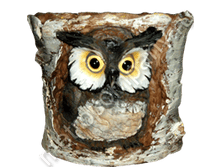 285���. 11158  ����� ����� � ��������� ����� (���������) 14�17��.png